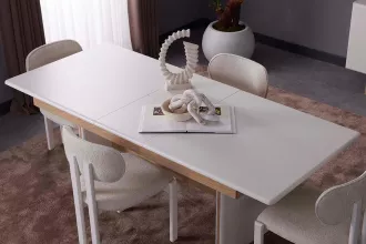 Lisa Dinner Table